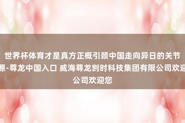 世界杯体育才是真方正概引颈中国走向异日的关节能源-尊龙中国入口 威海尊龙剀时科技集团有限公司欢迎您