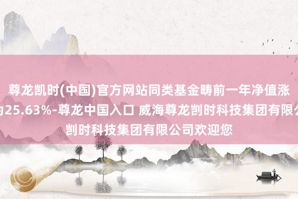 尊龙凯时(中国)官方网站同类基金畴前一年净值涨幅中位数为25.63%-尊龙中国入口 威海尊龙剀时科技集团有限公司欢迎您