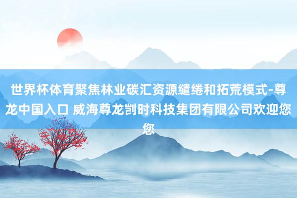 世界杯体育聚焦林业碳汇资源缱绻和拓荒模式-尊龙中国入口 威海尊龙剀时科技集团有限公司欢迎您