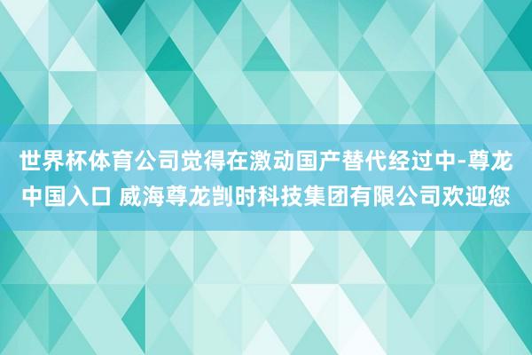 世界杯体育公司觉得在激动国产替代经过中-尊龙中国入口 威海尊龙剀时科技集团有限公司欢迎您