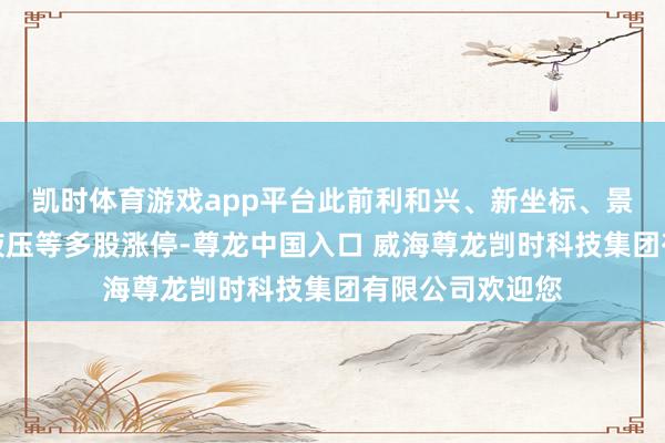 凯时体育游戏app平台此前利和兴、新坐标、景兴纸业、长龄液压等多股涨停-尊龙中国入口 威海尊龙剀时科技集团有限公司欢迎您
