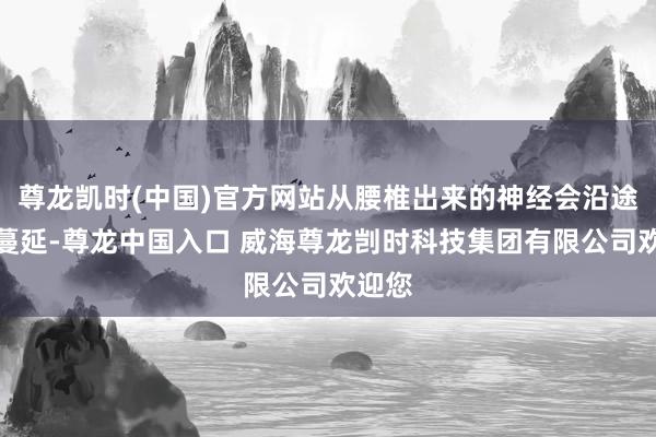 尊龙凯时(中国)官方网站从腰椎出来的神经会沿途向下蔓延-尊龙中国入口 威海尊龙剀时科技集团有限公司欢迎您