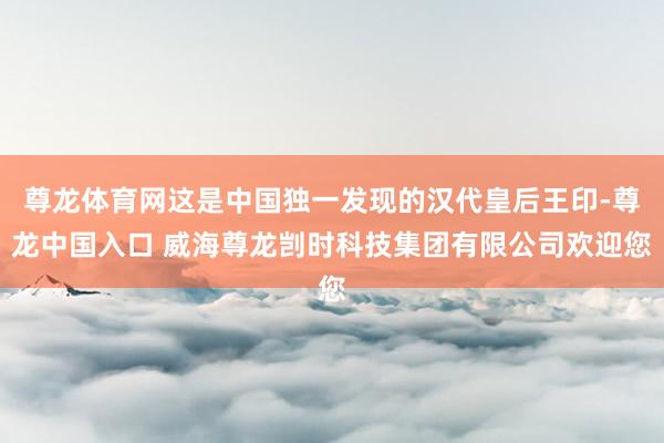 尊龙体育网这是中国独一发现的汉代皇后王印-尊龙中国入口 威海尊龙剀时科技集团有限公司欢迎您