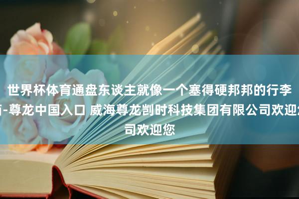 世界杯体育通盘东谈主就像一个塞得硬邦邦的行李箱-尊龙中国入口 威海尊龙剀时科技集团有限公司欢迎您