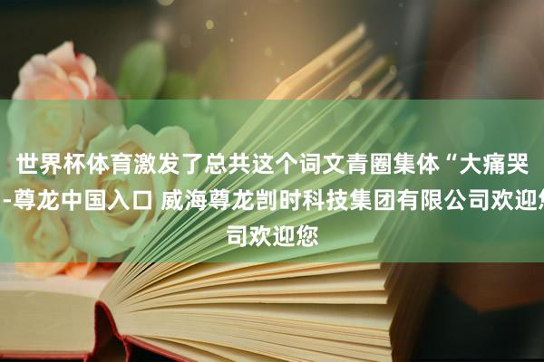 世界杯体育激发了总共这个词文青圈集体“大痛哭”-尊龙中国入口 威海尊龙剀时科技集团有限公司欢迎您